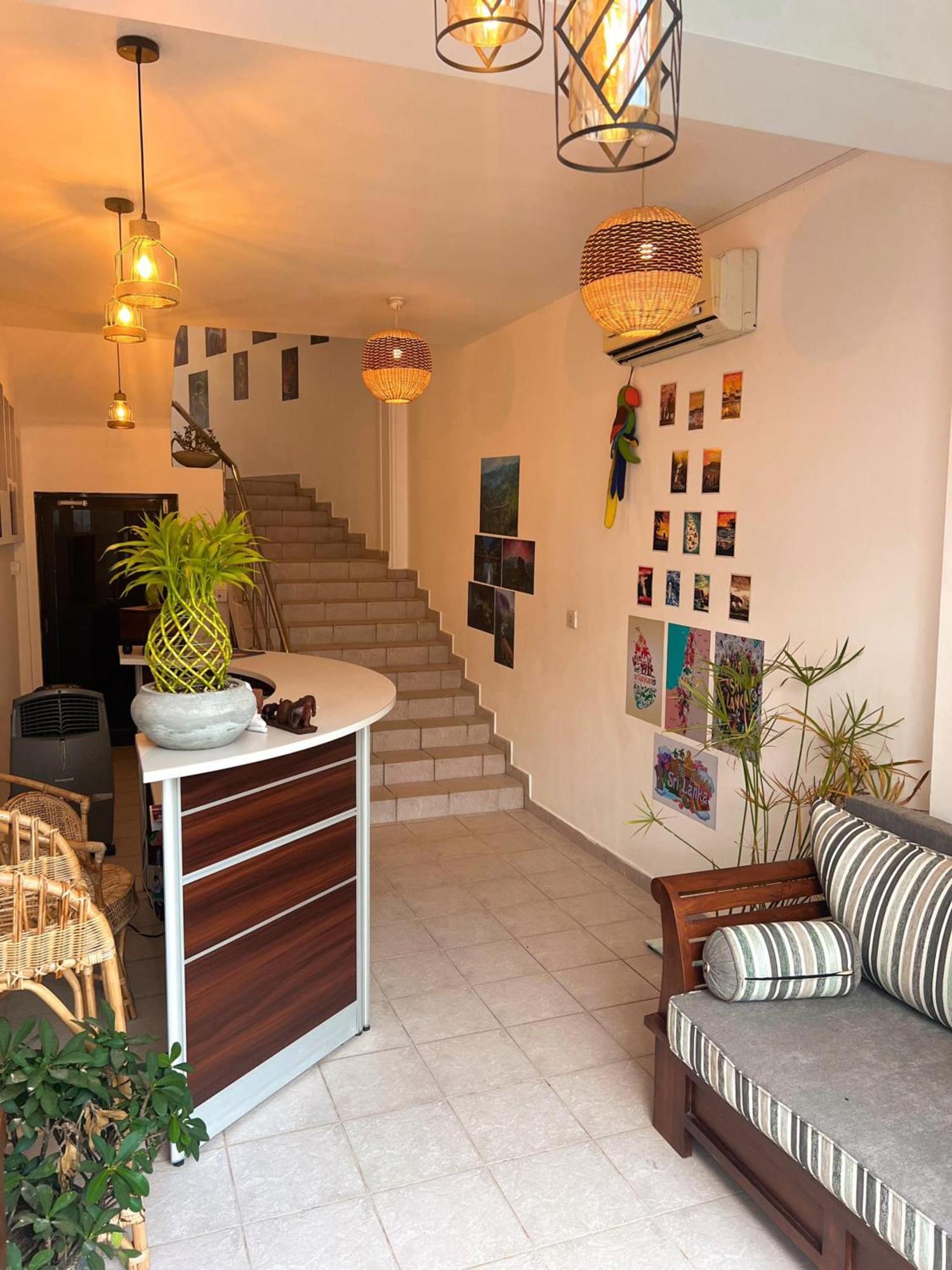 Hummus Hostel هيكادوفا المظهر الخارجي الصورة